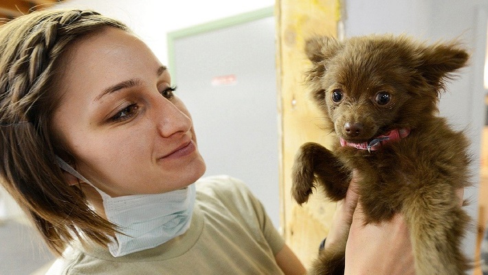 -ultrasound-s-710400